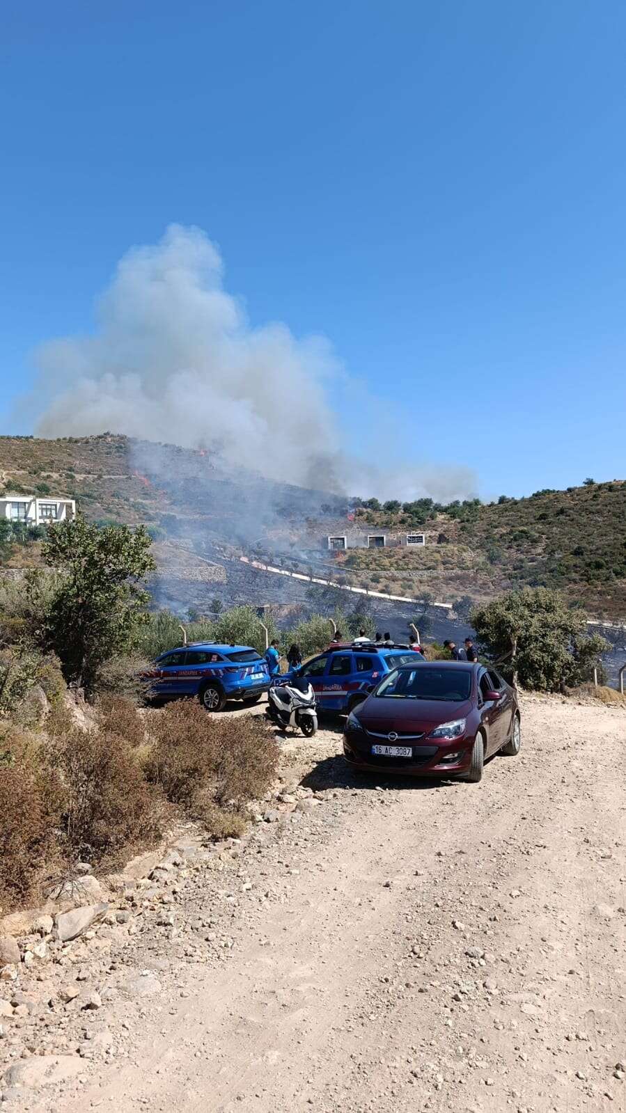 Bodrum'da Yangın Başladı 4